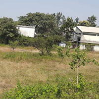  Industrial Land for Sale in Pirangut, Pune