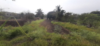  Agricultural Land for Rent in Koregaon Bhima, Pune