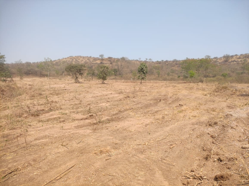  Industrial Land 174240 Sq.ft. for Sale in Markal, Pune