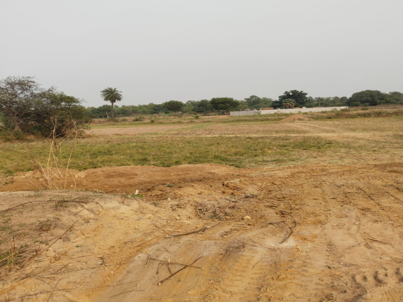  Industrial Land 30000 Sq.ft. for Sale in Ranjangaon, Pune