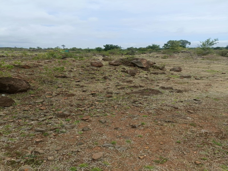  Industrial Land 87120 Sq.ft. for Sale in Ranjangaon, Pune