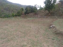  Agricultural Land for Sale in Vindhyachal, Mirzapur-cum-Vindhyachal, Mirzapur-cum-Vindhyachal