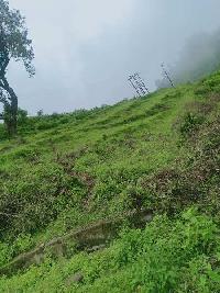  Agricultural Land for Sale in Main Road, Dehradun