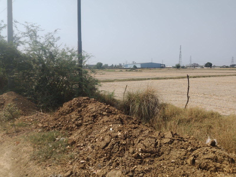  Agricultural Land 380 Bigha for Sale in Kalyanpur, Kanpur