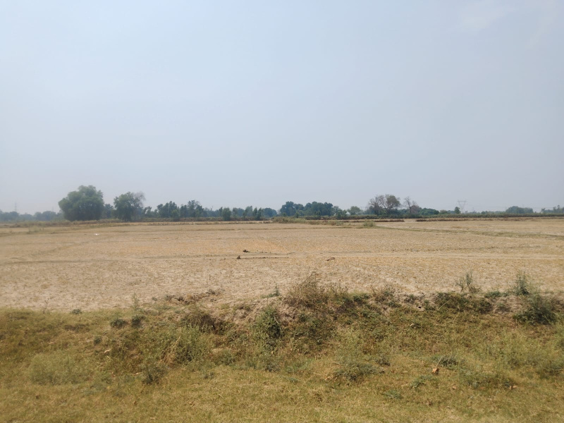  Agricultural Land 380 Bigha for Sale in Kalyanpur, Kanpur