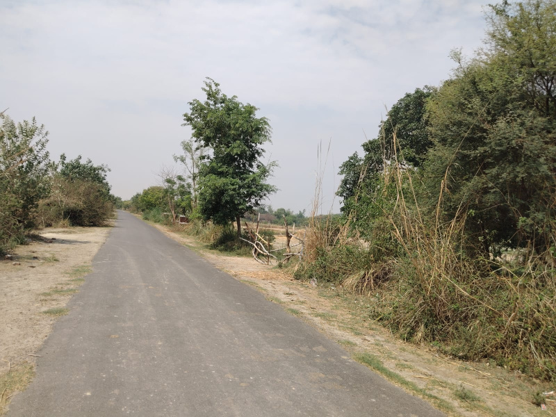  Agricultural Land 380 Bigha for Sale in Kalyanpur, Kanpur