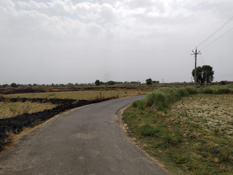  Agricultural Land 700 Bigha for Sale in Malasa, Kanpur Dehat