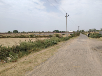  Agricultural Land for Sale in Akbarpur, Kanpur Dehat