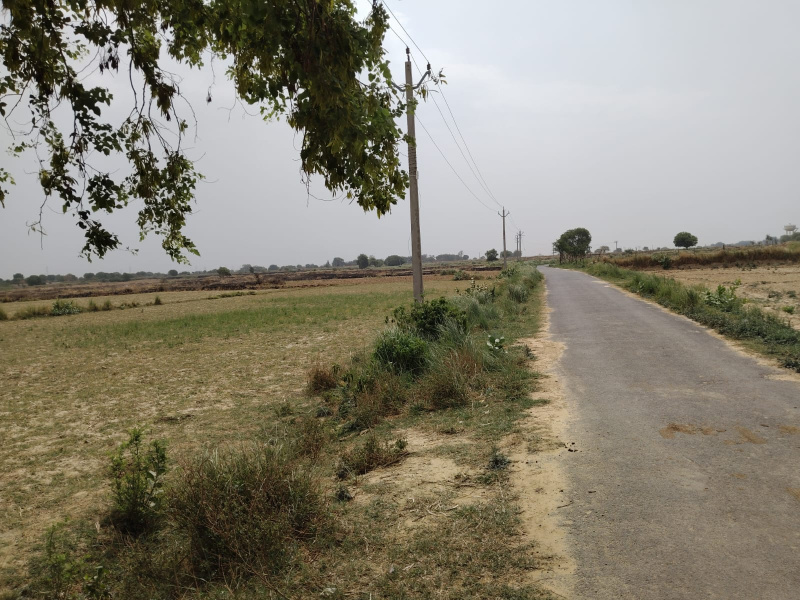  Agricultural Land 700 Bigha for Sale in Akbarpur, Kanpur Dehat