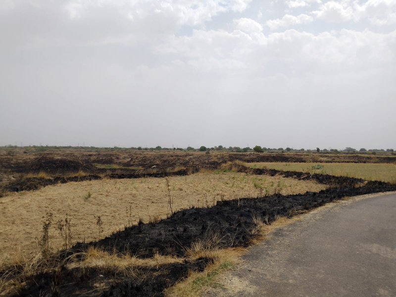  Agricultural Land 700 Bigha for Sale in Akbarpur, Kanpur Dehat