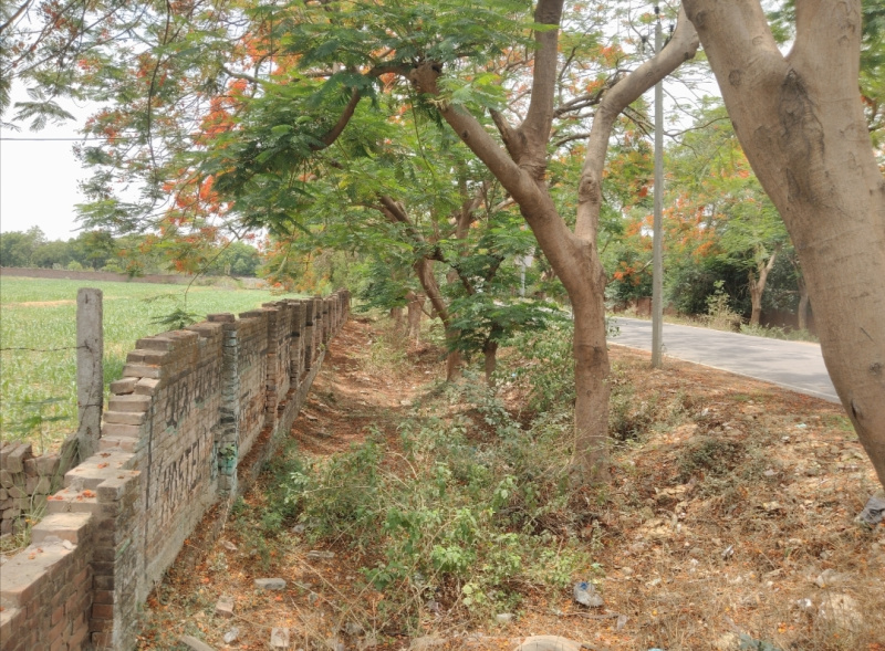  Agricultural Land 40 Bigha for Sale in Akbarpur, Kanpur Dehat