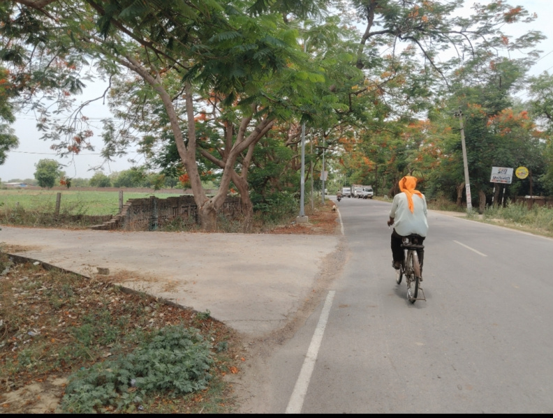  Agricultural Land 20 Bigha for Sale in Akbarpur, Kanpur Dehat