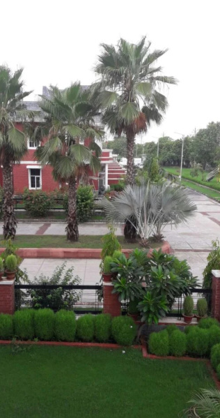  322 Sq. Yards Commercial Land for Sale in Jawaharpuram, Kanpur