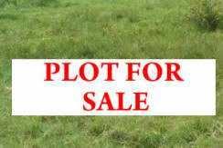  Residential Plot for Sale in Mahavir Chhapra, Gorakhpur