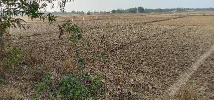  Agricultural Land for Sale in Bolpur, Birbhum
