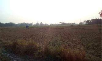  Residential Plot for Sale in Baruipur, South 24 Parganas