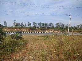 Agricultural Land for Sale in Channarayapatna, Hassan