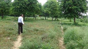  Residential Plot for Sale in Govardhan, Mathura