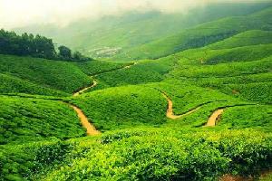  Commercial Land for Sale in Munnar, Idukki