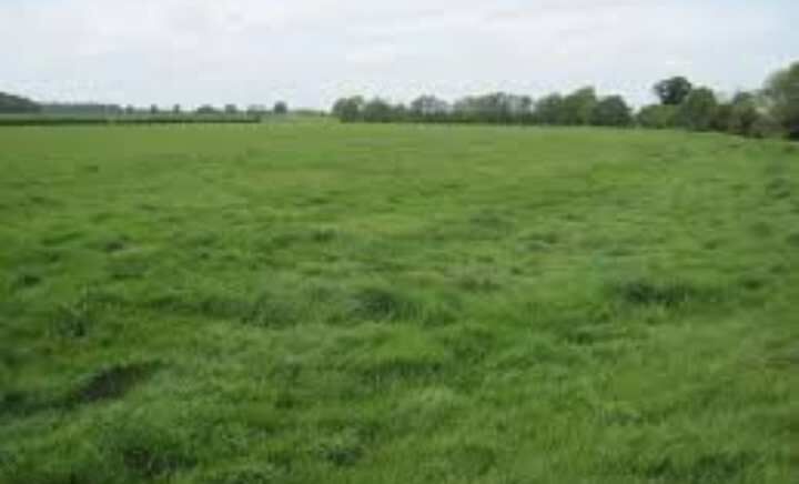  Residential Plot 3850 Sq. Meter for Sale in Sotanala, Behror