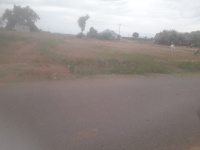  Agricultural Land for Sale in Chellampatty, Madurai
