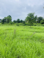  Residential Plot for Sale in Sidhbari, Dharamsala