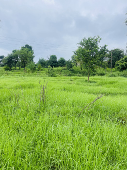  Residential Plot for Sale in Ram Nagar, Dharamshala