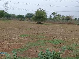  Agricultural Land for Sale in Kohka Bhilai, Durg