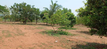  Agricultural Land for Sale in Sami, Patan