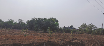  Industrial Land for Sale in 3rd Phase GIDC, Vapi