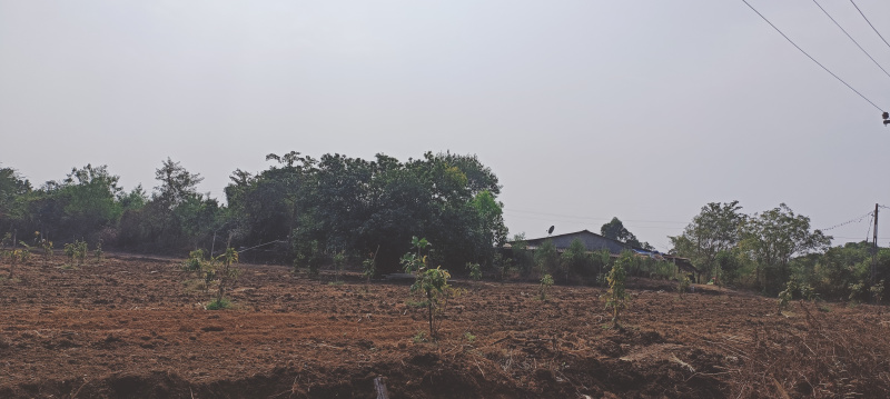  3267 Sq.ft. Industrial Land for Sale in 3rd Phase GIDC, Vapi