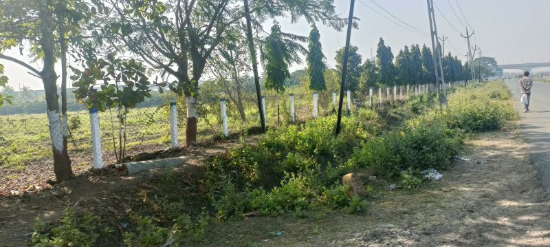  120 Bigha Industrial Land for Sale in Unn, Navsari