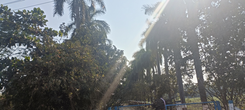  120 Bigha Industrial Land for Sale in Unn, Navsari