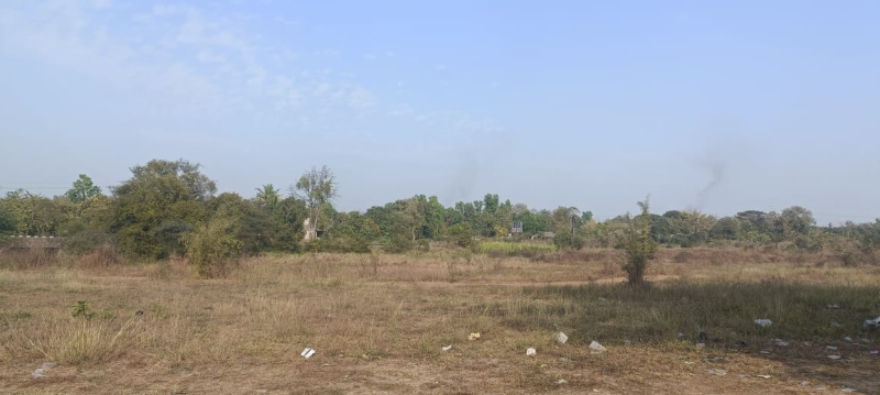  300 Bigha Agricultural/Farm Land for Sale in Panoli GIDC, Bharuch