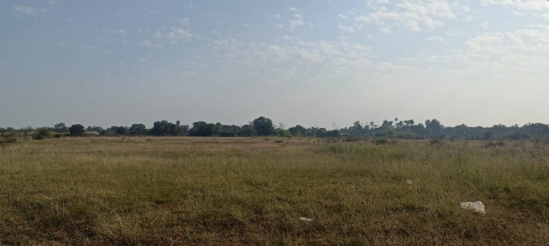 300 Bigha Agricultural/Farm Land for Sale in Panoli GIDC, Bharuch