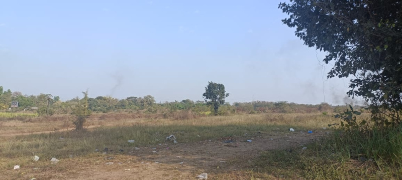  300 Bigha Agricultural/Farm Land for Sale in Panoli GIDC, Bharuch