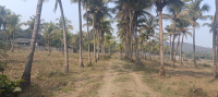 Industrial Land for Sale in Umbergaon, Valsad