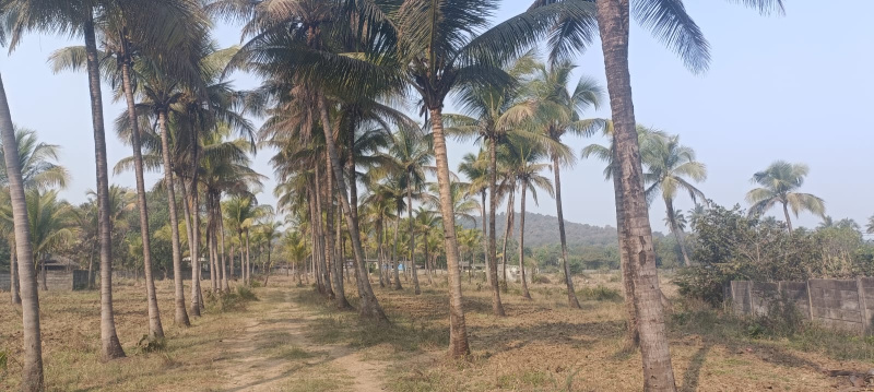  7 Acre Industrial Land for Sale in Umbergaon, Valsad