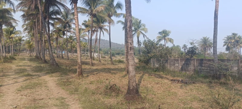  7 Acre Industrial Land for Sale in Umbergaon, Valsad