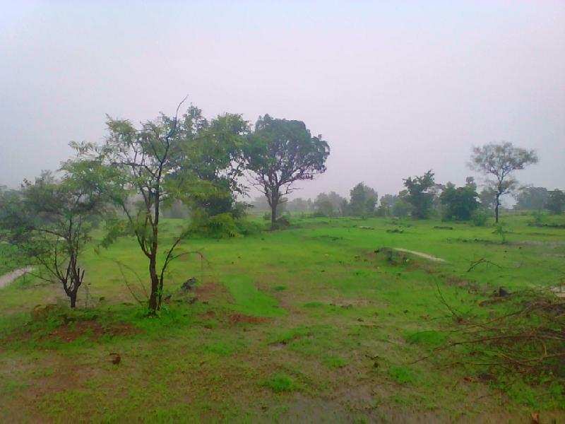 Agricultural Land 20 Acre for Sale in Bhilad, Valsad