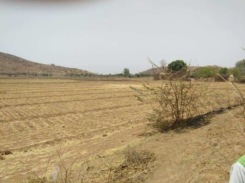 Agricultural Land 4 Acre for Sale in Umbergaon, Valsad