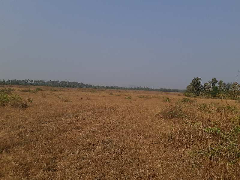 Agricultural Land 25 Acre for Sale in Umbergaon, Valsad