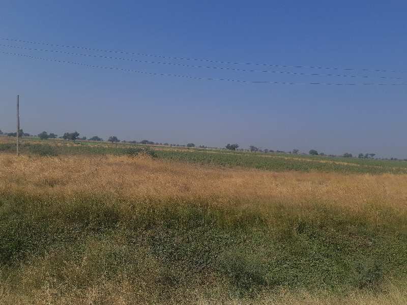 Agricultural Land 50 Acre for Sale in Dahej GIDC, Bharuch
