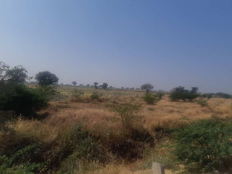 Agricultural Land 32 Acre for Sale in Dahej Bypass Road, Bharuch