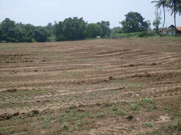 Agricultural Land 350 Acre for Sale in