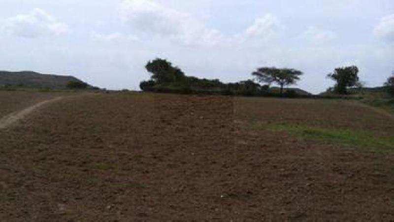 Agricultural Land 1200 Acre for Sale in Kevadiya, Narmada