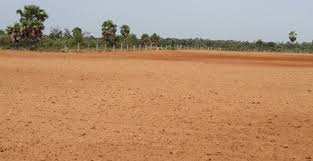 Agricultural Land 80 Acre for Sale in Umbergaon, Valsad