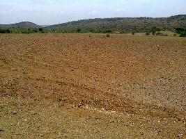  Agricultural Land for Sale in Chikhli, Navsari
