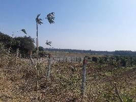 Agricultural Land for Sale in Pardi, Valsad