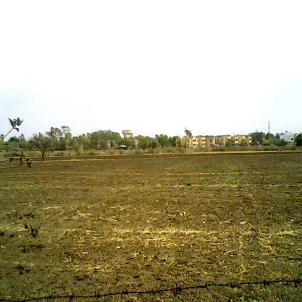 Agricultural Land 1500 Acre for Sale in Karjan, Vadodara